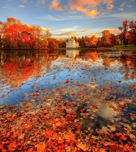 پاییز زیبا | پاییز