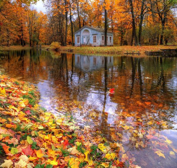 پاییز زیبا | پاییز