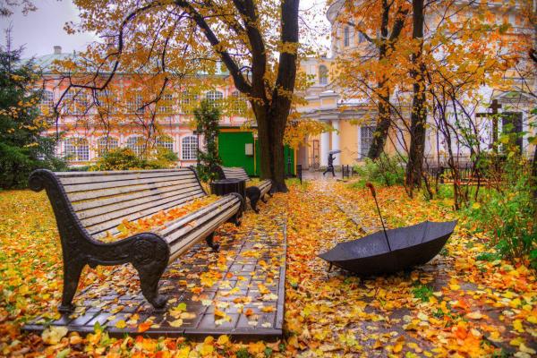 پاییز زیبا | پاییز