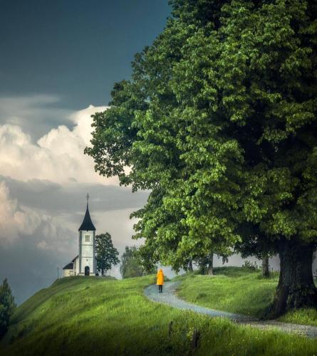 مناظر زیبا | مناظر_زیبا,طبیعت