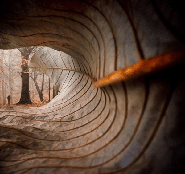 پرسپکتیو | چشم_انداز,پرسپهکتیو